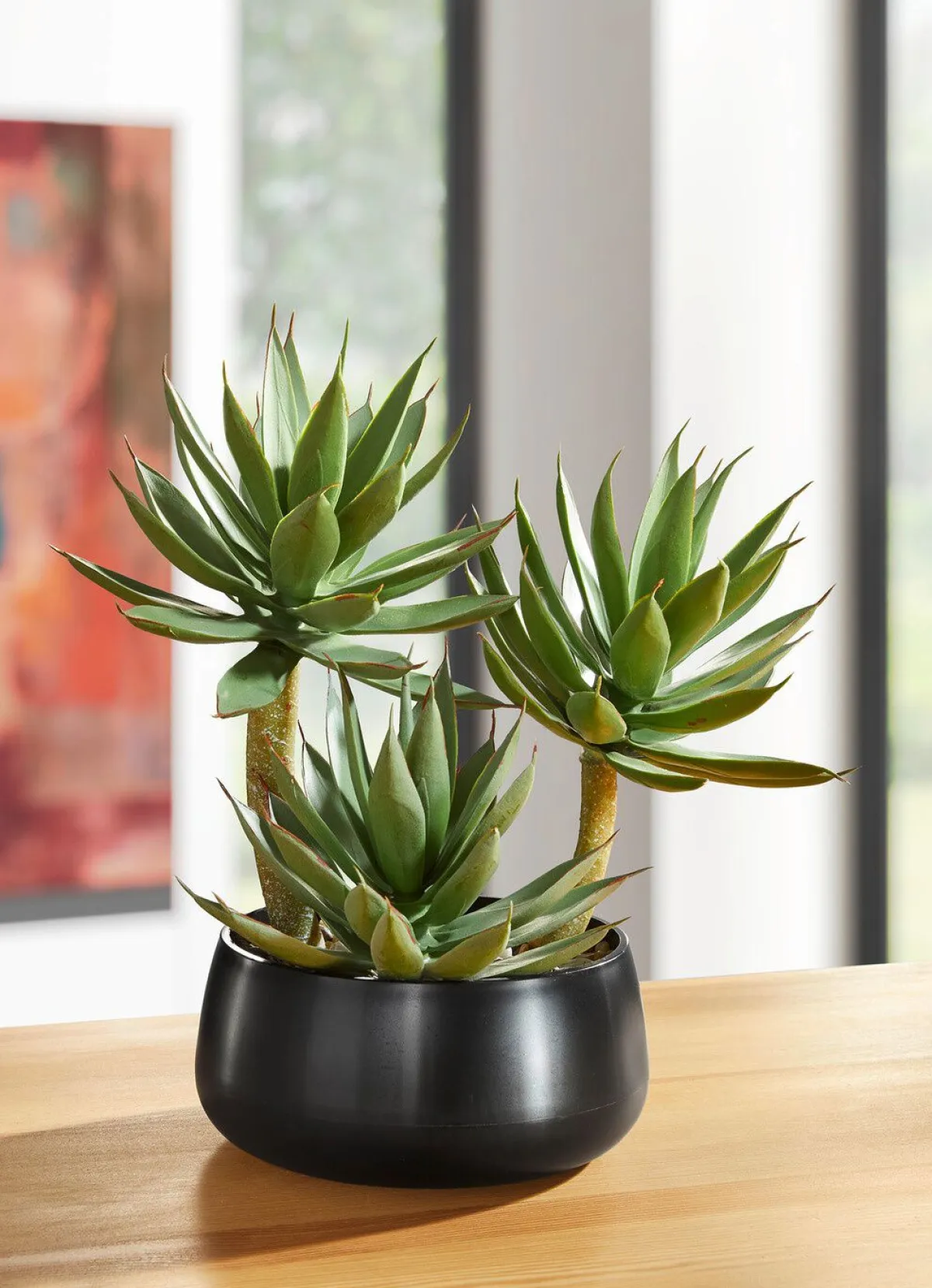New BADER Agave in Kunststofftopf GRÜN