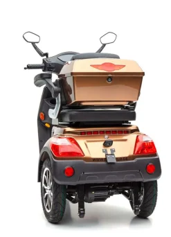 Best BADER Akku-Trike, 3-Rad braun
