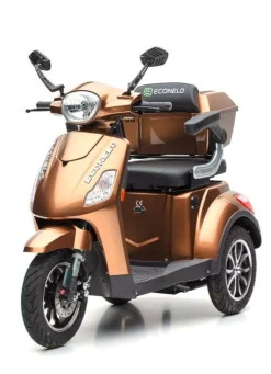 Best BADER Akku-Trike, 3-Rad braun