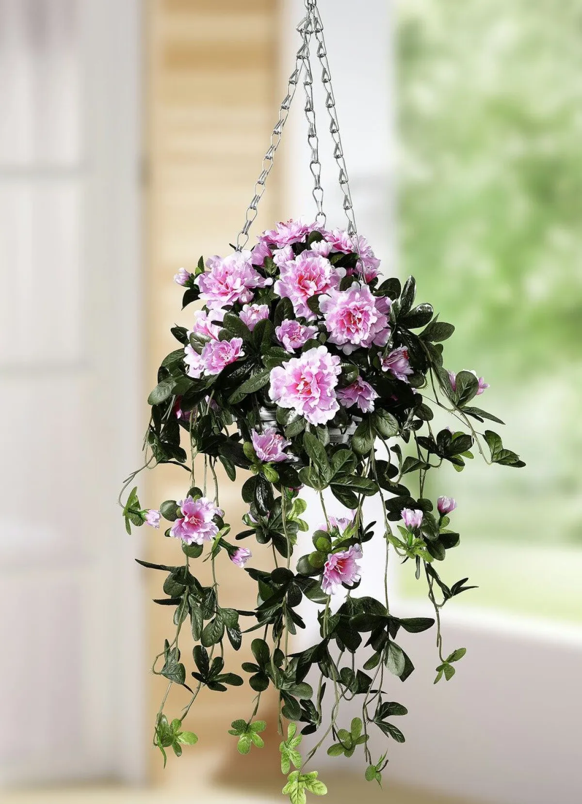 Online BADER Azaleen-Hängeampel GRÜN-ROSA
