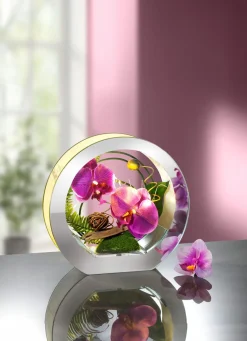 Clearance BADER Beleuchtete Orchidee im Glas LAVENDEL