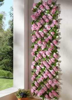 Hot BADER Beleuchtetes Wandgitter BUNT
