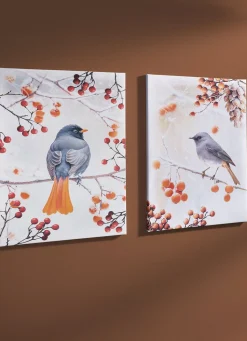 Hot BADER Bild Vogel des Jahres 2025 Hausrotschwanz auf Leinwand BUNT