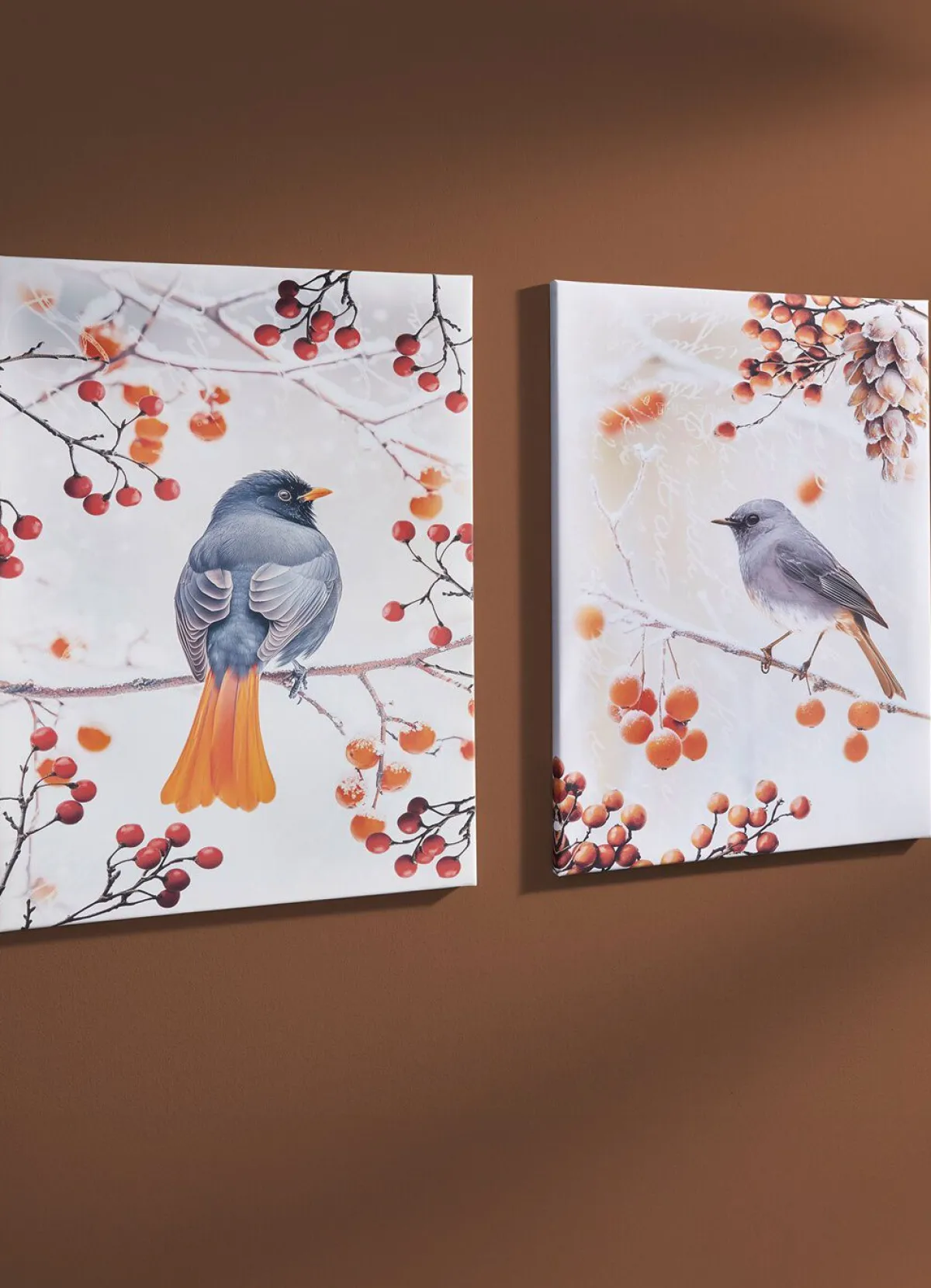 Hot BADER Bild Vogel des Jahres 2025 Hausrotschwanz auf Leinwand BUNT