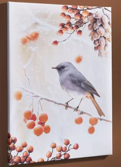 Hot BADER Bild Vogel des Jahres 2025 Hausrotschwanz auf Leinwand BUNT