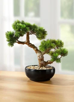 BADER Bonsai im Keramiktopf GRÜN-BRAUN-SCHWARZ