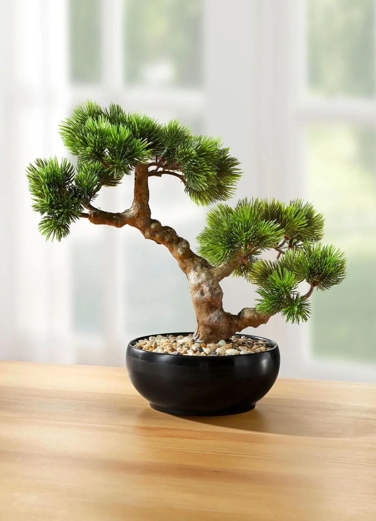 BADER Bonsai im Keramiktopf GRÜN-BRAUN-SCHWARZ