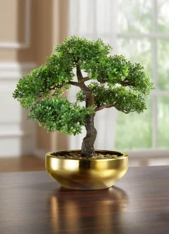 BADER Bonsai in Keramikschale GRÜN