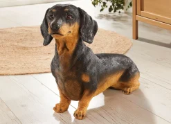 Hot BADER Dackel aus hochwertigem Polyresin SCHWARZ-BRAUN