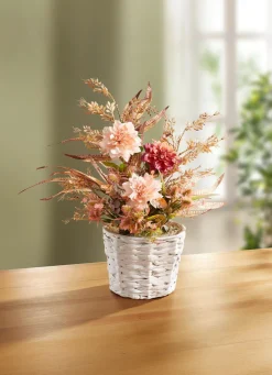 Sale BADER Dahlien-Arrangement im Topf BUNT