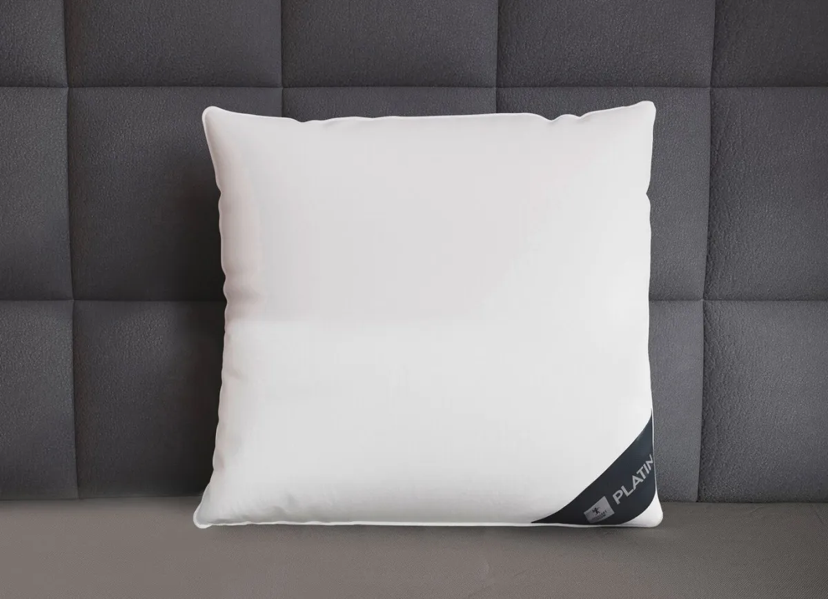 Discount SPESSARTTRAUM Daunenkissen Platin von WEISS