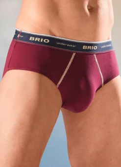 Hot BADER Dreierpack Slips mit Elastikbund 2X BORDEAUX, 1X NAVY
