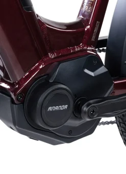 Best BADER E-Bike Deluxe SUV Easy BURGUND-GLANZ
