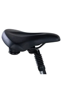 Best BADER E-Bike Deluxe SUV Easy BURGUND-GLANZ