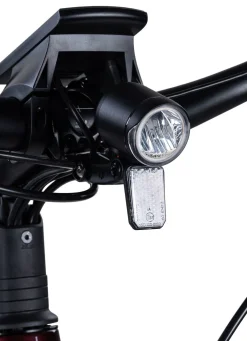 Best BADER E-Bike Deluxe SUV Easy BURGUND-GLANZ