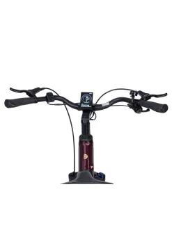Best BADER E-Bike Deluxe SUV Easy BURGUND-GLANZ