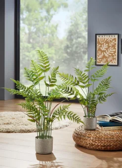 Discount BADER Echt aussehender Waldfarn im Topf GRÜN