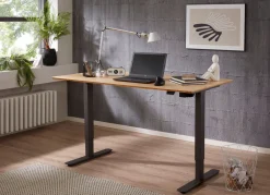 Clearance BADER Elektrisch höhenverstellbarer Schreibtisch ANTHRAZIT-ASTEICHE