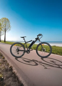 Sale BADER E-Mountainbike von Veccocraft SCHWARZ
