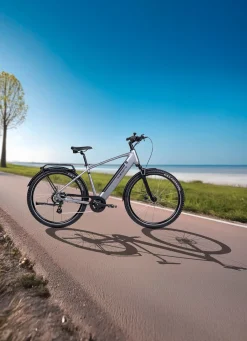 Clearance BADER E-Trekking-Bike X-Road 5.2 von SAXONETTE SILBER