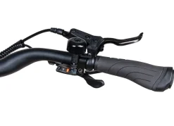 Clearance BADER E-Trekking-Bike X-Road 5.2 von SAXONETTE SILBER