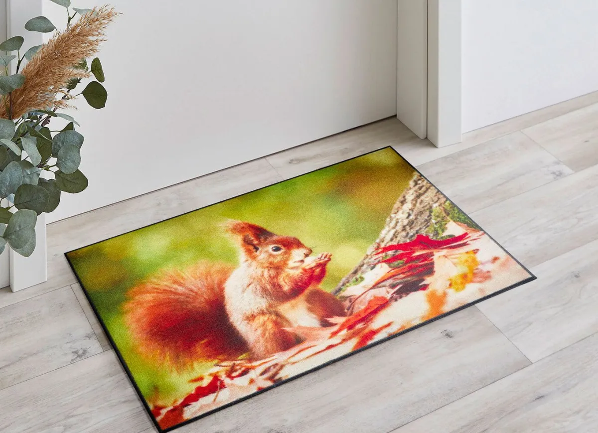 Outlet BADER Fußmatte mit Eichhörnchen-Motiv BUNT