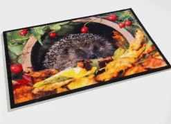 Best BADER Fußmatte mit Igel-Motiv BUNT