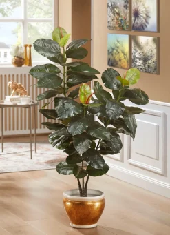 Discount BADER Gummibaum im Topf GRÜN