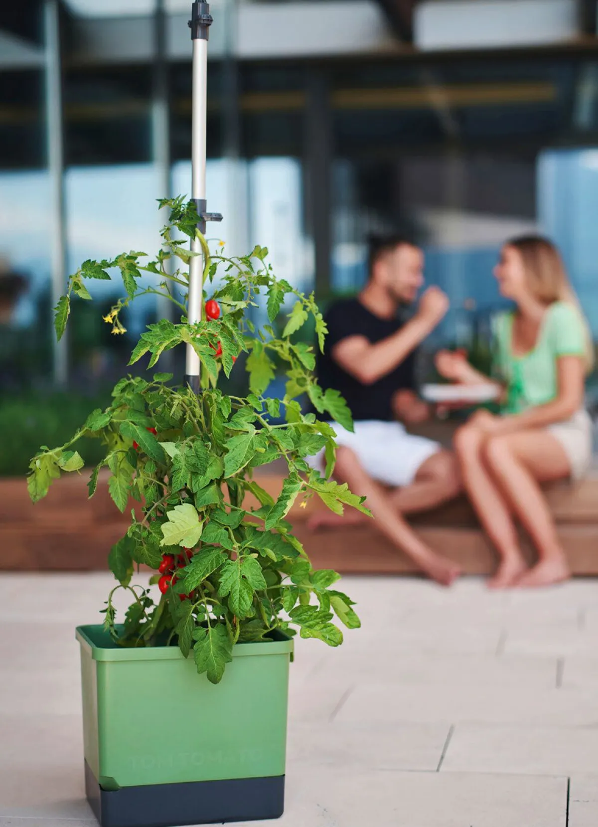 Best BADER Gusta Garden Tom Tomato mit Bewässerungssystem GRÜN