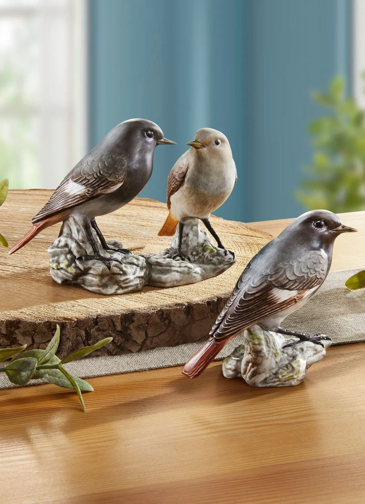 New BADER Hausrotschwanz - Vogel des Jahres 2025 BUNT