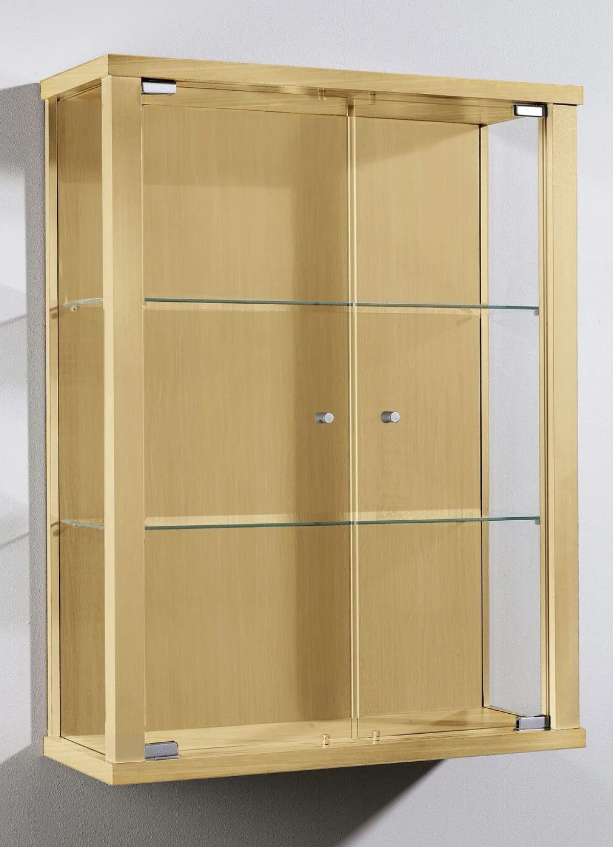 Hot BADER Hängevitrine mit ESG-Sicherheitsglas BUCHE