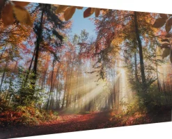 Online BADER Hochwertige Kunstdruckreproduktion BUNT