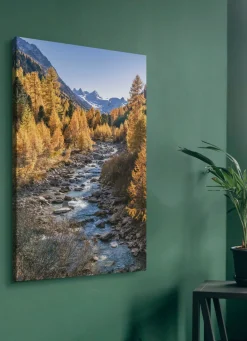 Hot BADER Hochwertiges in Digitaldruck gefertigtes Leinwandbild BUNT