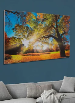 Sale BADER Hochwertiges Kunstdruck Bild BUNT