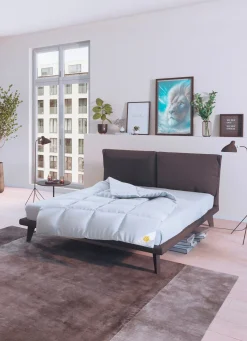 Discount SPESSARTTRAUM Königlich Schlafen – Ganzjahresbett von WEISS