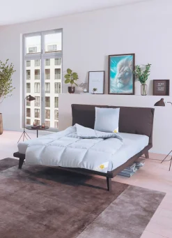 Discount SPESSARTTRAUM Königlich Schlafen – Ganzjahresbett von WEISS