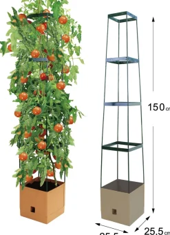 New BADER MAXITOM Tomaten-Rankhilfe Komplett-Set TERRA