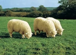 BADER Merino-Lammfell-Sitzauflage in Tierform TAUPE