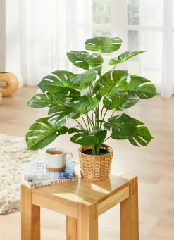 Discount BADER Monstera GRÜN