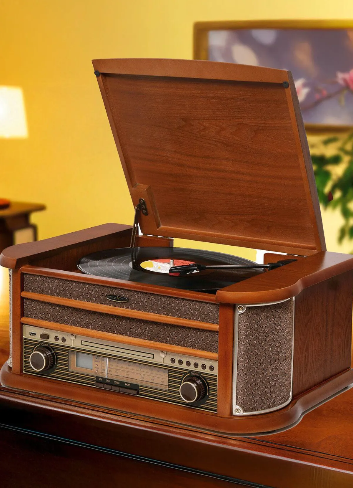 Sale BADER Nostalgie-Stereoanlage BRAUN