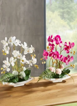 Outlet BADER Orchideen-Arrangement in Schale ROSA