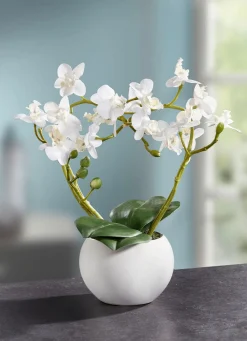 Discount BADER Orchideen-Gesteck im Keramiktopf WEISS