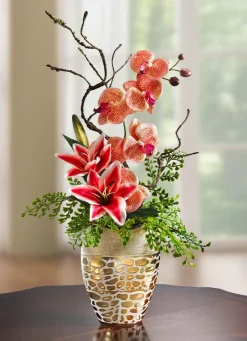 Sale BADER Orchideen-Gesteck im Topf ORANGE