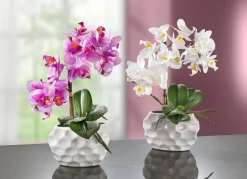 Clearance BADER Orchideen-Gesteck in Keramikvase ROSA