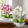 Discount BADER Orchideen in Keramikschale, 2er-Set