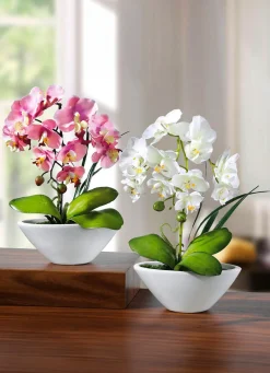 Discount BADER Orchideen in Keramikschale, 2er-Set