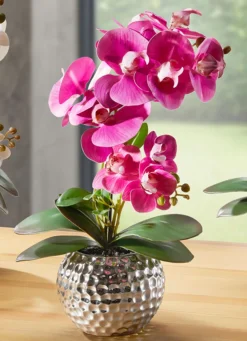New BADER Orchidee Phalaenopsis in Keramikschale ROSA