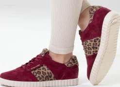 PETER KAISER , trendige Damen-Sneaker, mit herausnehmbarem Fußbett BORDEAUX-BRAUN