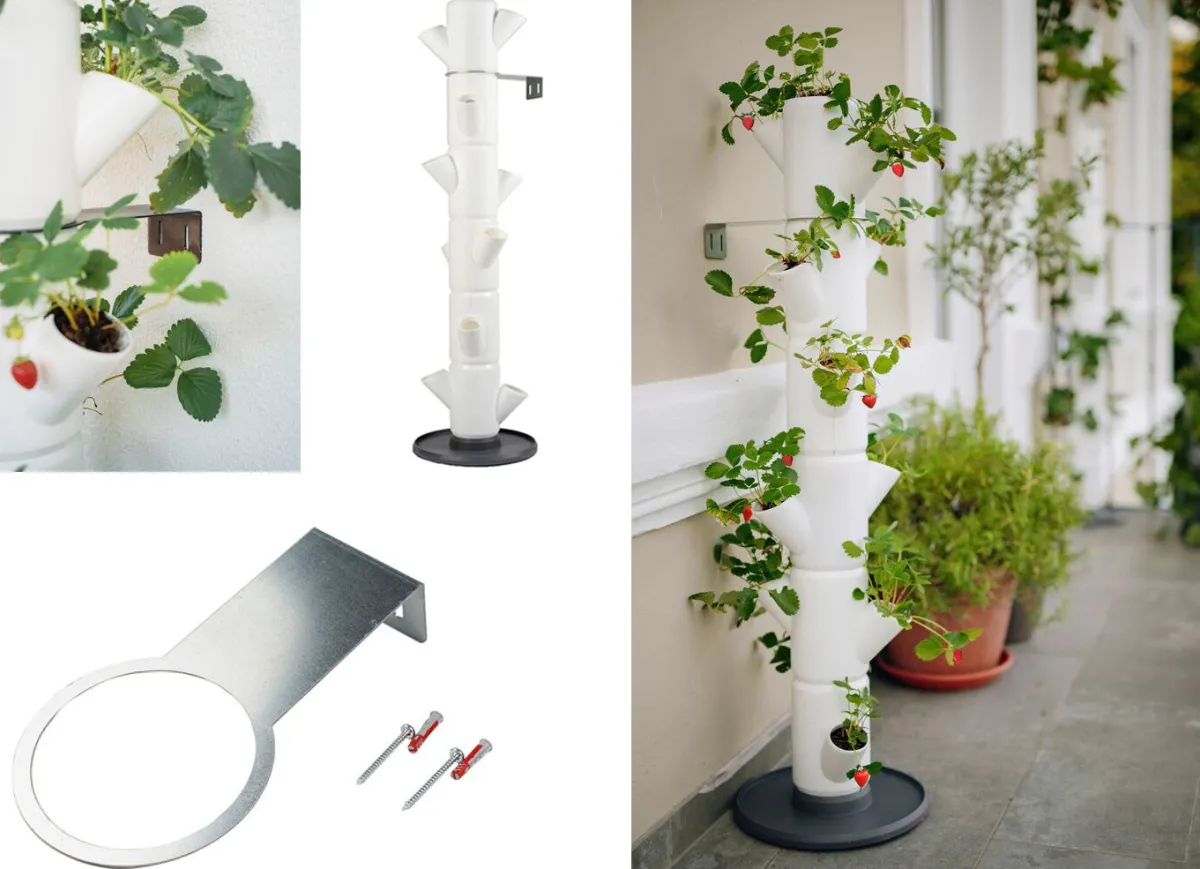 Sale BADER Pflanz-System Sissi Strawberry WEISS