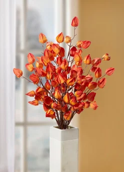 Discount BADER Physalis-Zweig ORANGE